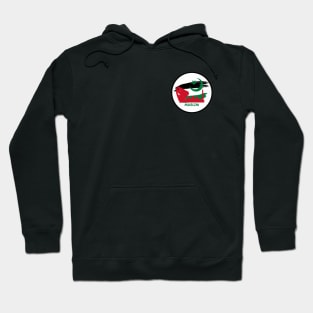 Free Palestine Hoodie